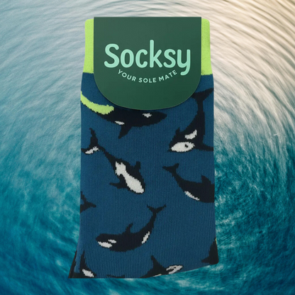 The Ocean Box