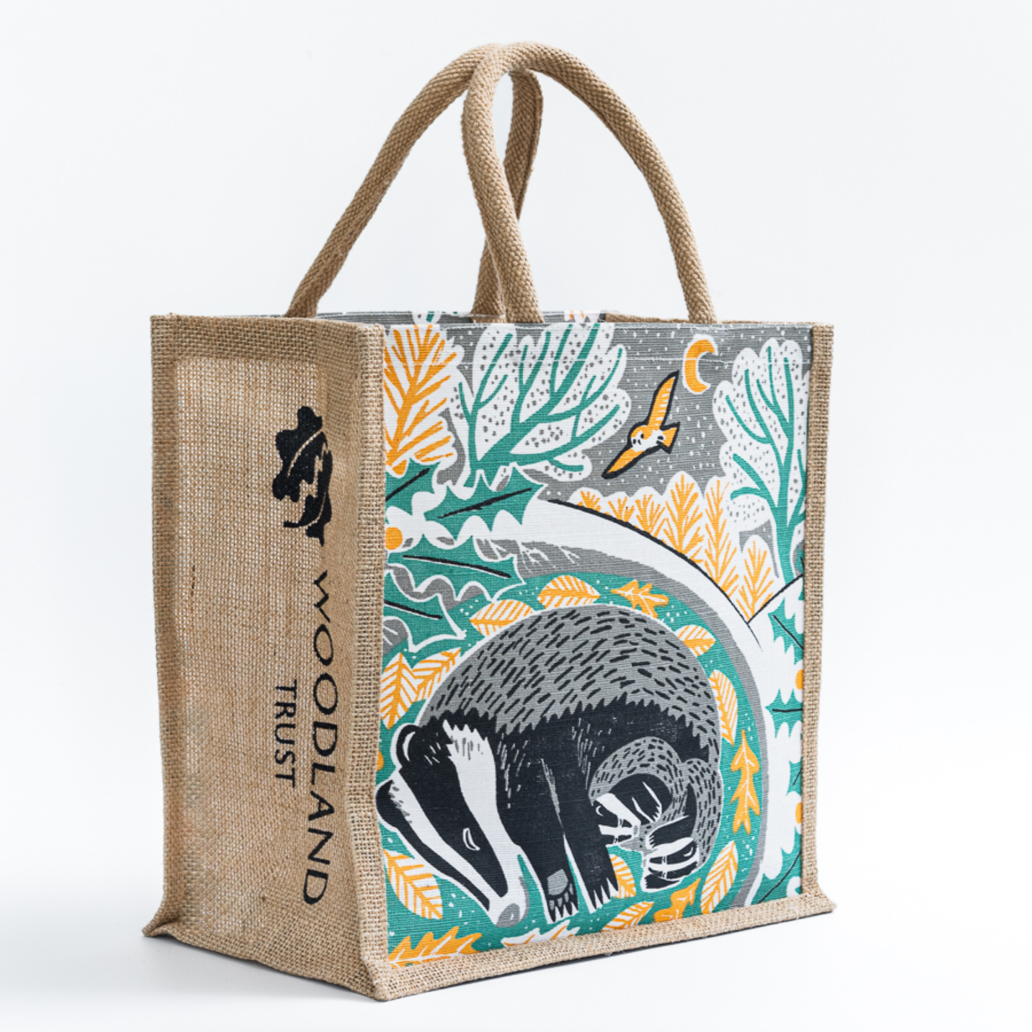 The Forest Box